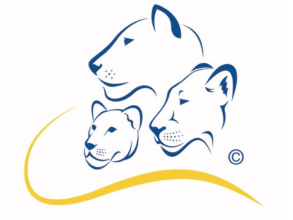 Lions Logo